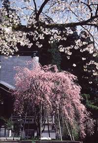 photo15.jpg
